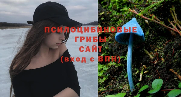 марки nbome Алзамай
