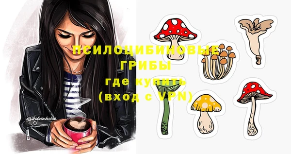 ECSTASY Алексин
