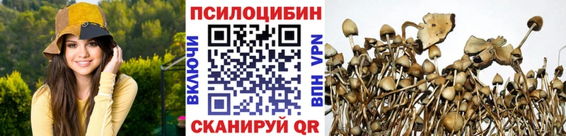 Галлюциногенные грибы Cubensis  хочу наркоту  Почеп 